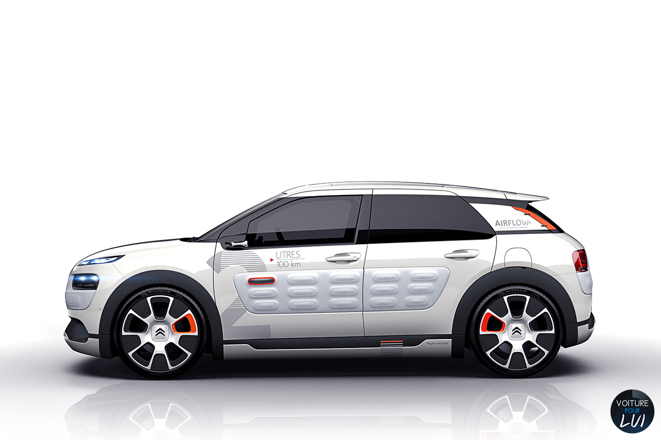 C4 Cactus Airflow 2L Concept C4 Cactus Airflow 2L Concept