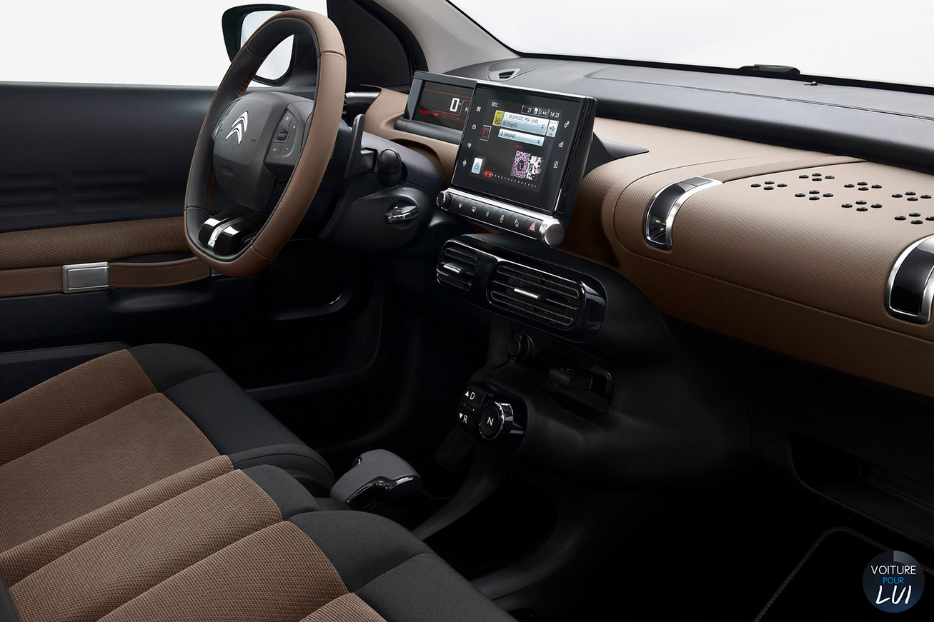 C4 Cactus C4 Cactus