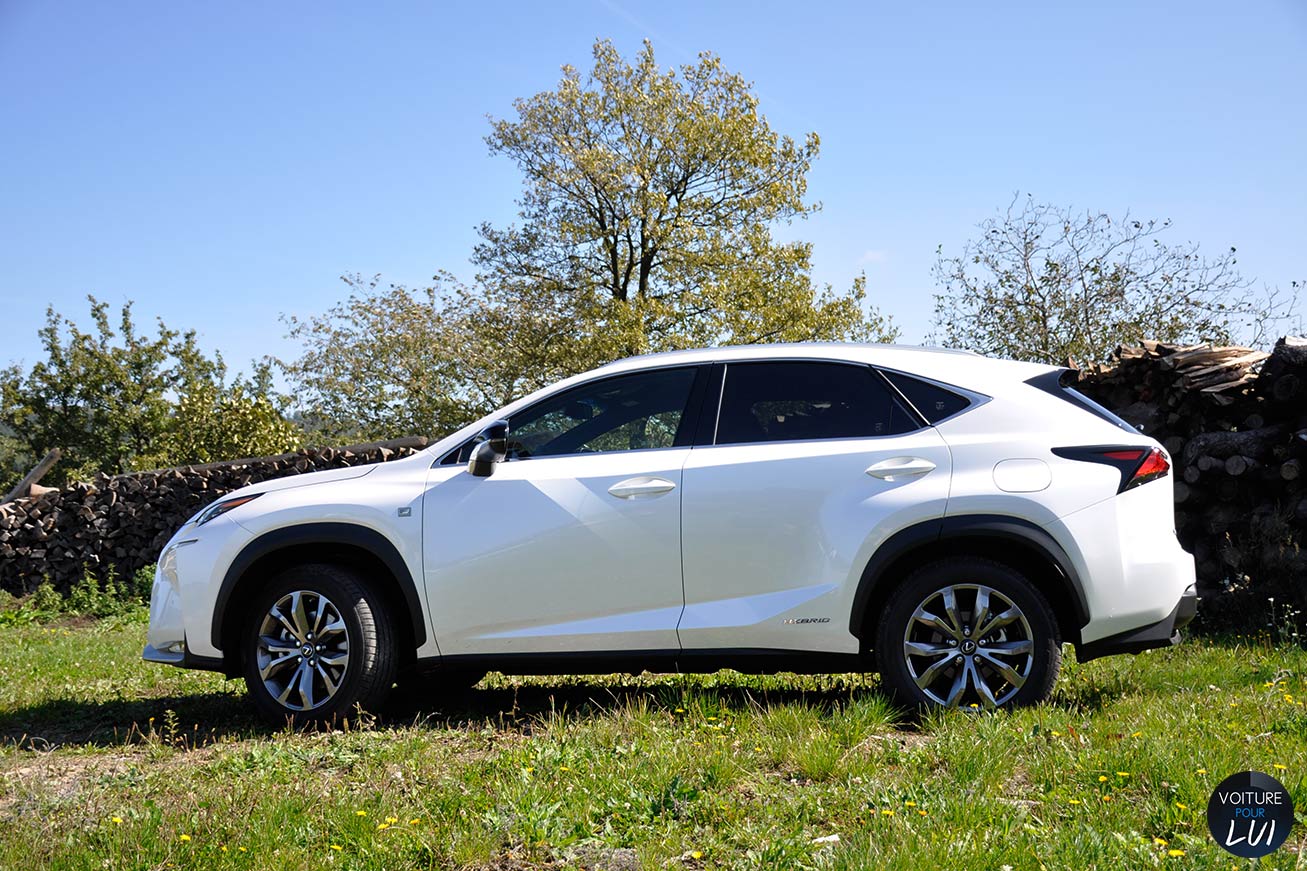 NX 300h F Sport NX 300h F Sport